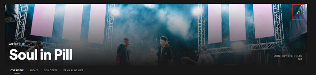 imagen que representa y simboliza spotify para artistas y refuerza el concepto del contenido 🚀 SPOTIFY para ARTISTAS: Guía Definitiva