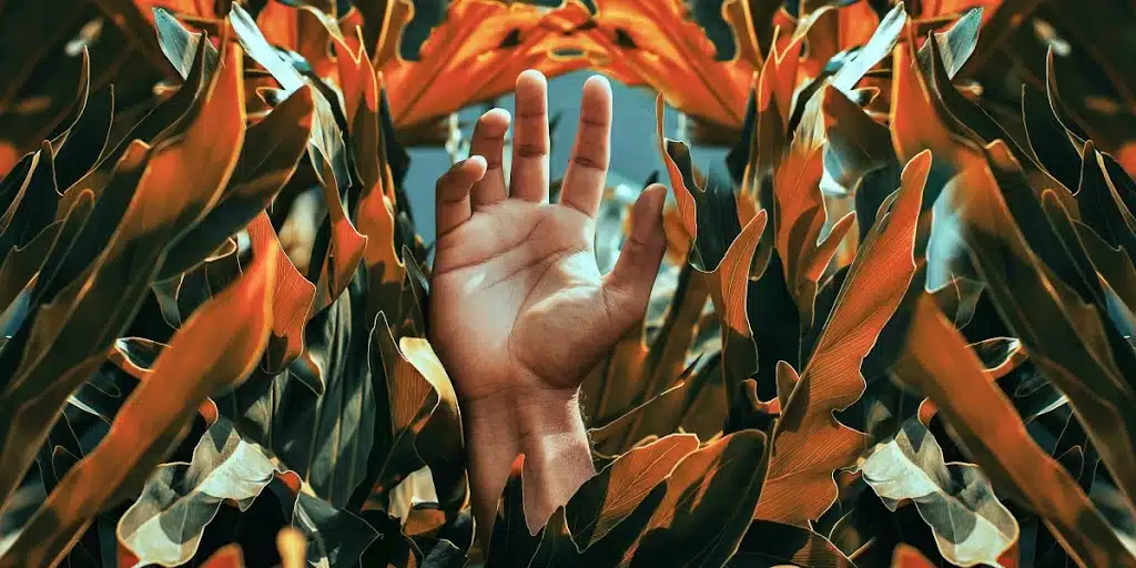 imagen que representa y simboliza branding musical y refuerza el concepto del contenido 🥝 Cómo definir tu BRANDING MUSICAL y tu Identidad Visual