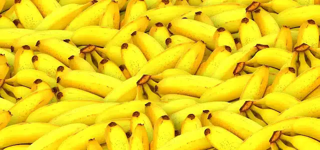 imagen que representa y simboliza documentales de musica y refuerza el concepto del contenido 📺 Documentales de Música online, subtitulados al español