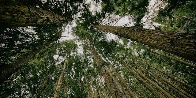 imagen que representa y simboliza industria musical y refuerza el concepto del contenido ⚡ Industria Musical, Mercado Musical e Industria Discográfica