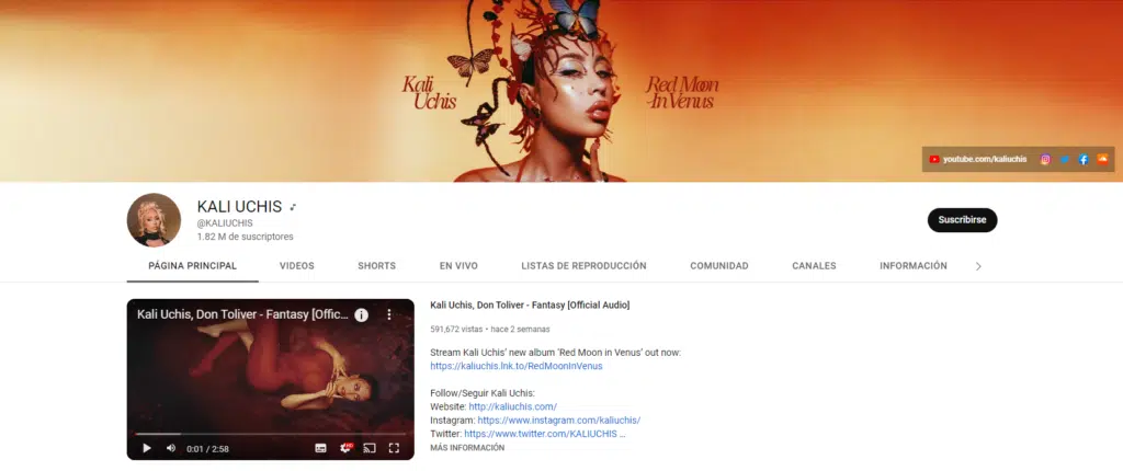 imagen que representa y simboliza youtube para artistas y refuerza el concepto del contenido 💣 YOUTUBE para ARTISTAS: Guía indispensable