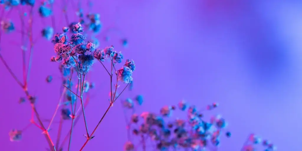 📢 Guía sobre Festivales de Música en Latinoamérica imagen que representa y simboliza festivales de musica y refuerza el concepto del contenido 📢 Guía sobre Festivales de Música en Latinoamérica