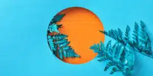 Imagen que representa la participación en un festival musical